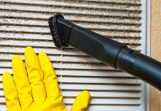 Best Professional Duct Cleaning Services  in Plains, TX
